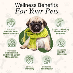 Paws Boom Bacon Flavor Liquid entices pets for daily supplementation