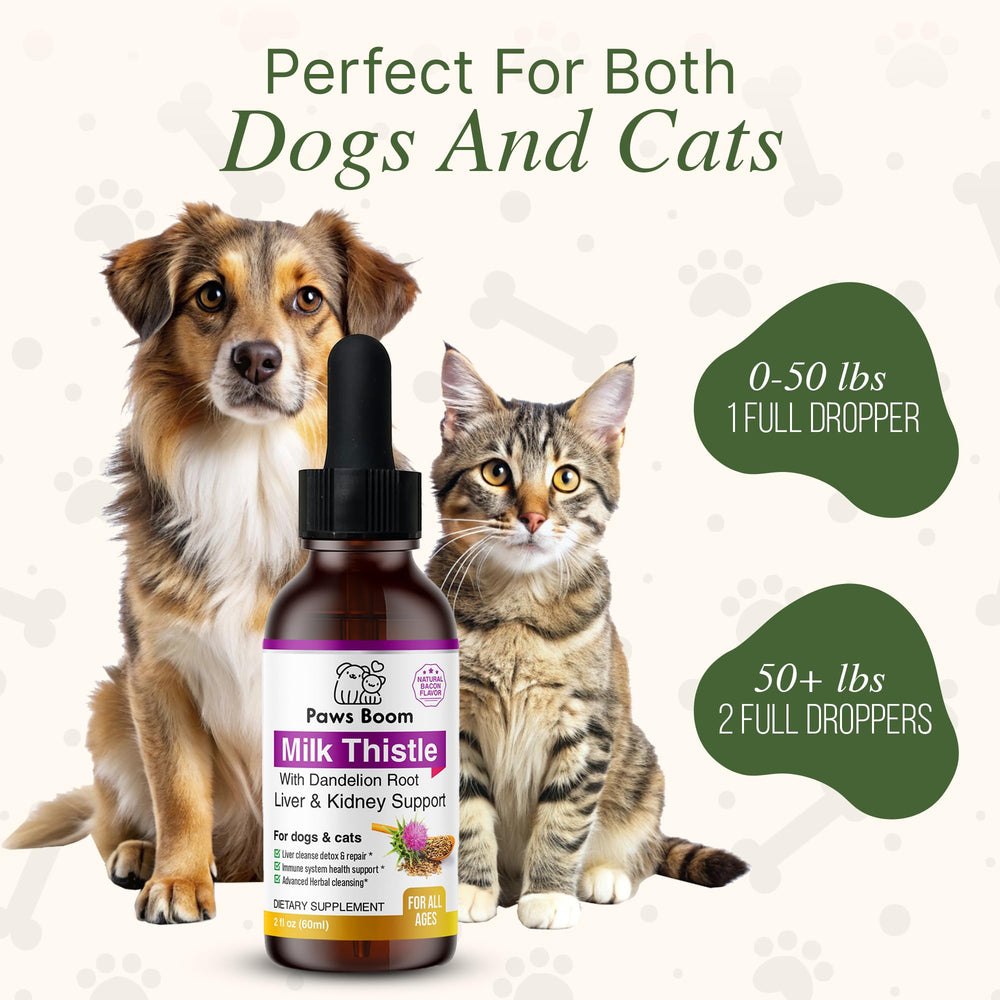 Paws Boom Liver Cleanse graphics illustrate liver health