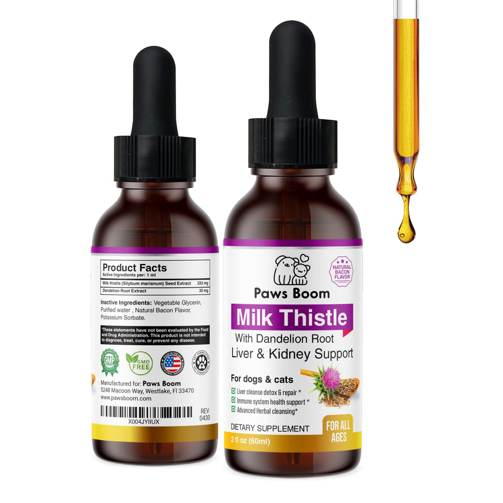Paws Boom Milk Thistle bottle pour supports liver health in pets