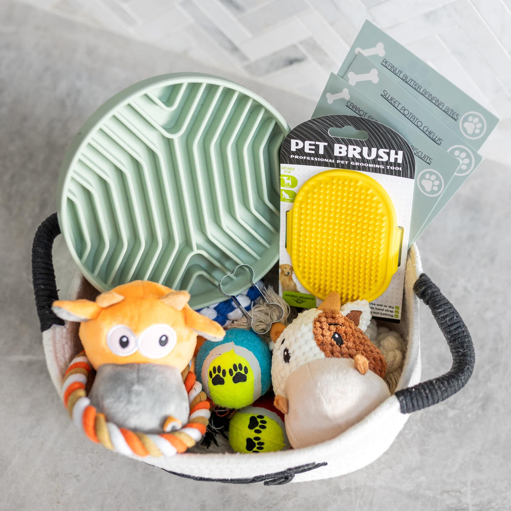 Paws For Reaction silicone slow-feeder bowl for mindful meals