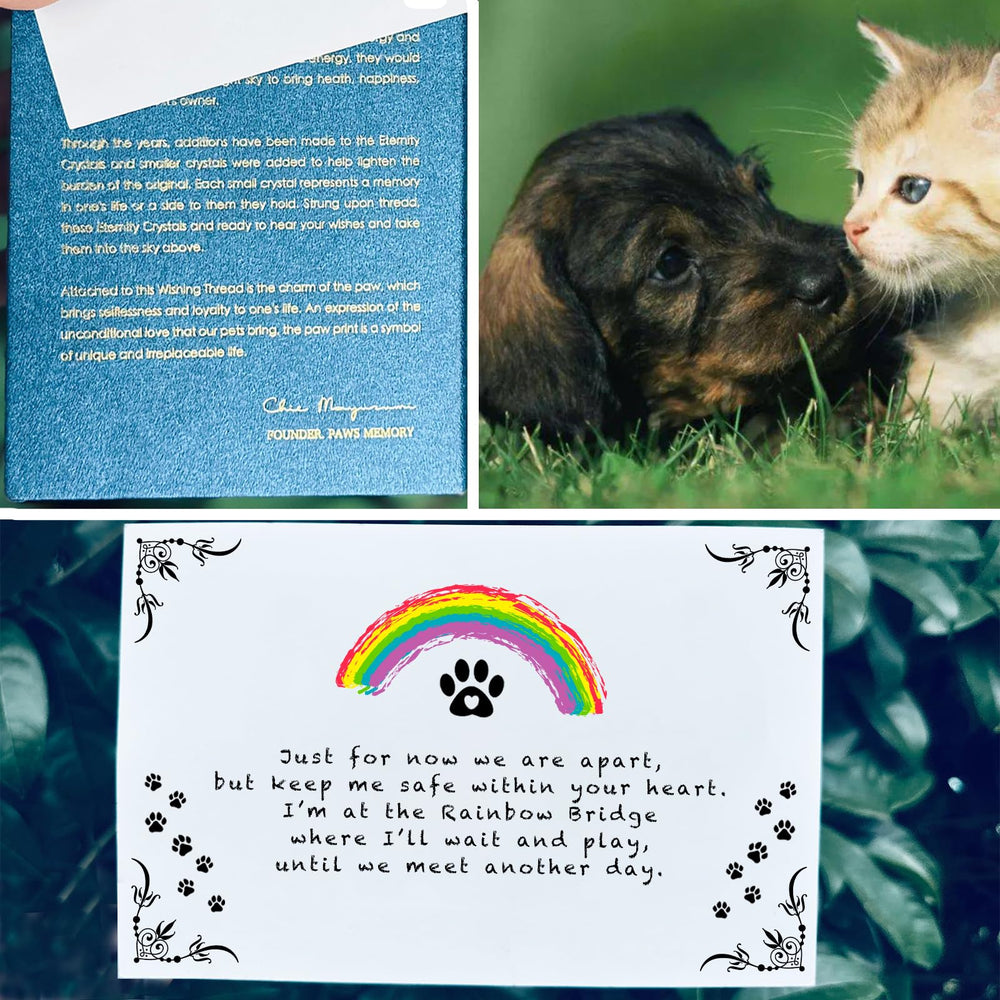 Paws Memory garden display option keeps memories present in outdoor spaces.