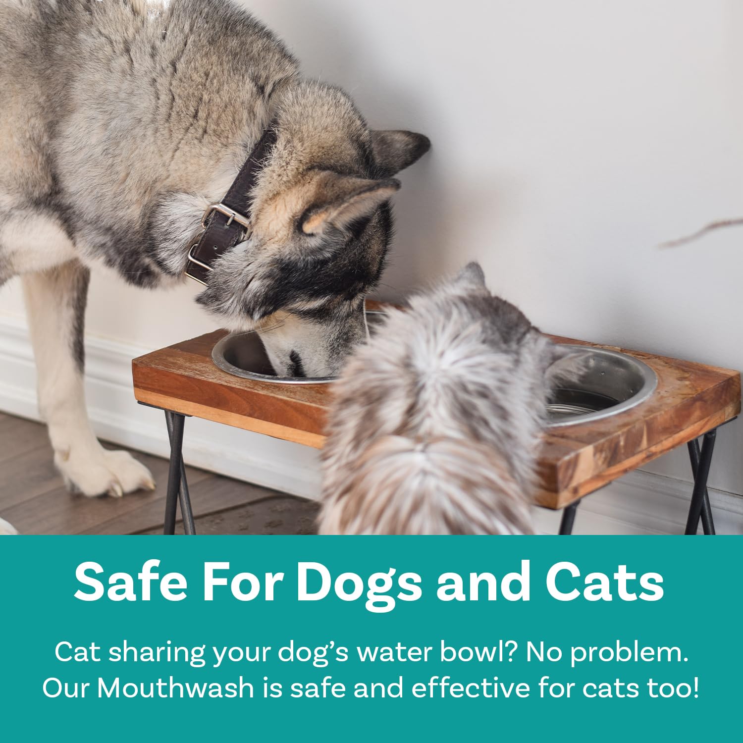 PawSafe dog mouthwash in water bowl illustrates seamless daily integration.