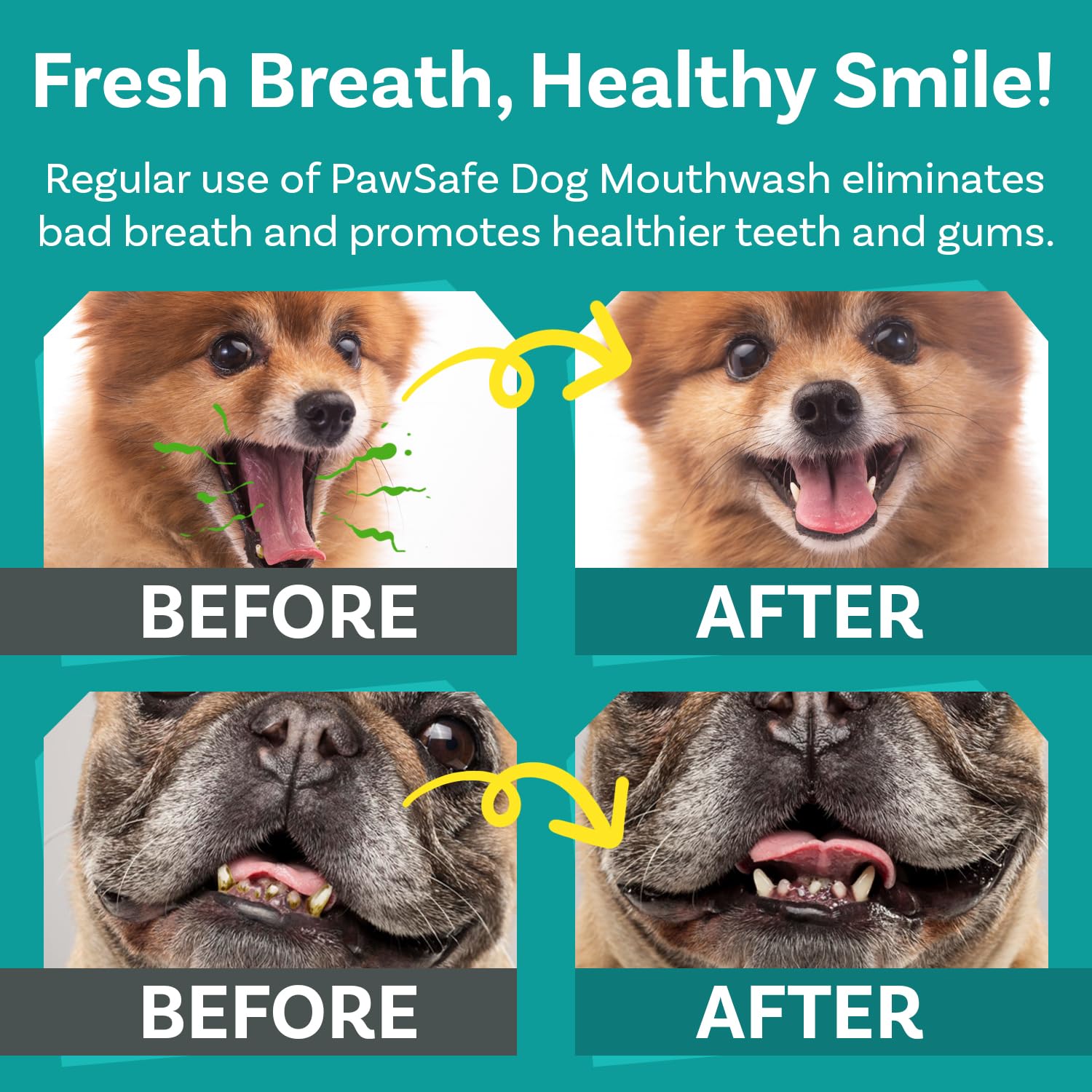 PawSafe dog mouthwash teeth close-up highlights cleaner-looking teeth and gums.
