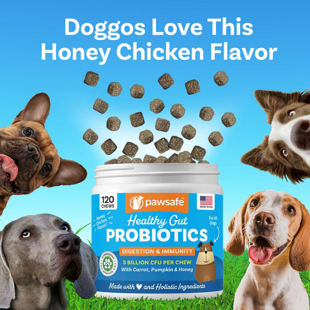 Honey chicken flavor on PawSafe chews enhances palatability for dogs.