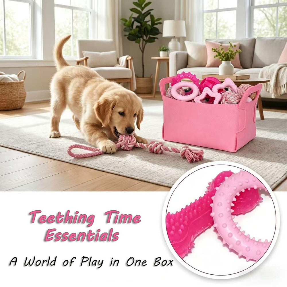PawsAion pacifier toy soothes teething while engaging play