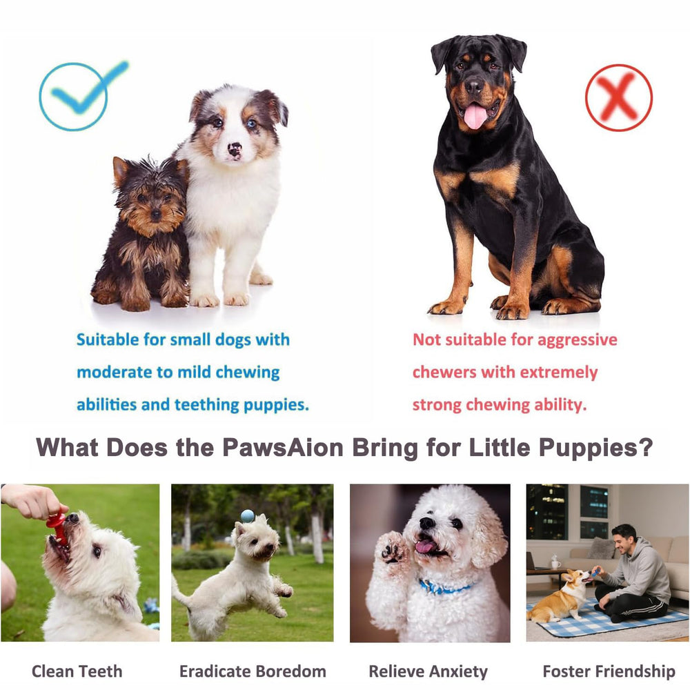 PawsAion interactive ball promotes training and bonding outdoors.