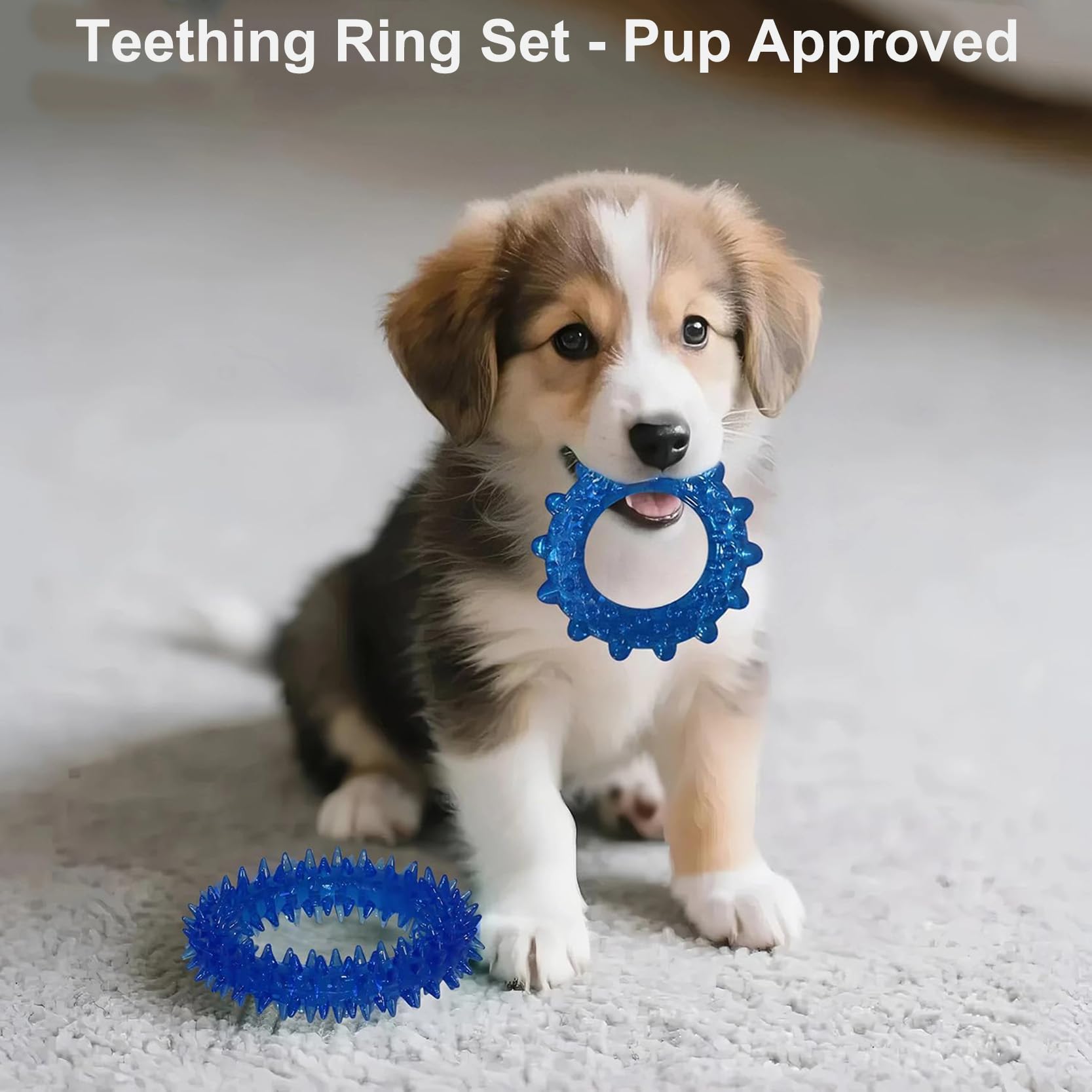 PawsAion teething rings offer varied textures for gum massage.