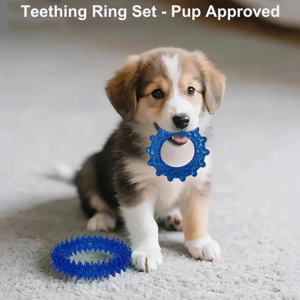 PawsAion teething rings offer varied textures for gum massage.