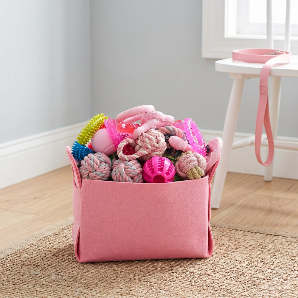 PawsAion toy storage basket keeps play area tidy
