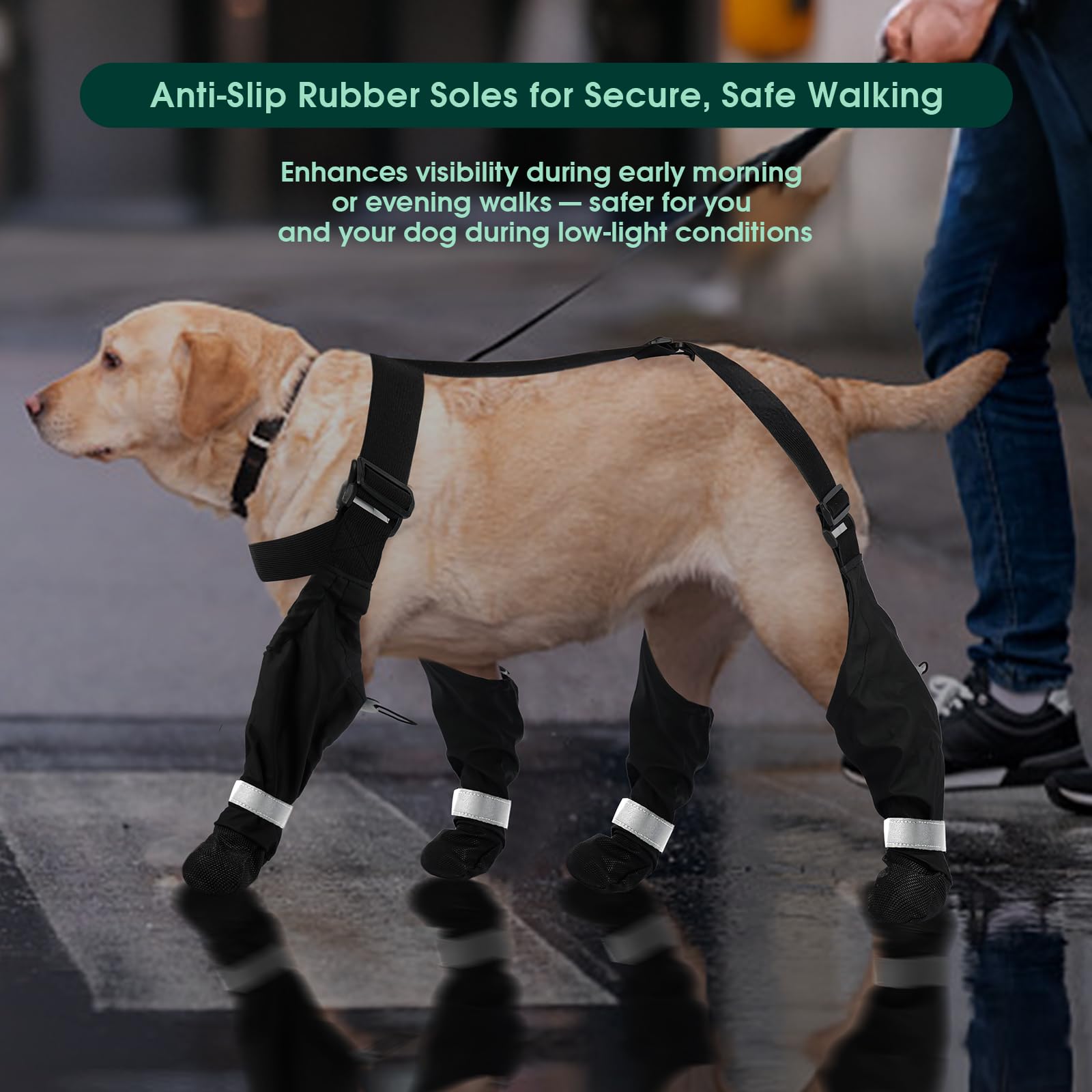PAWsay easy to clean dog boots ready for next adventure.