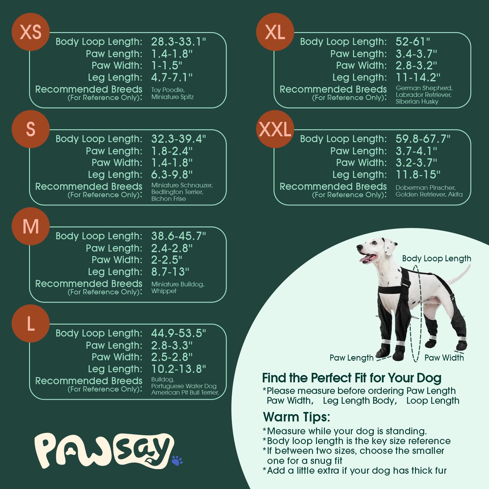 PAWsay reflective straps improve visibility during dusk dog walks.