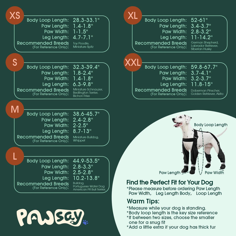 PAWsay reflective straps improve visibility during dusk dog walks.