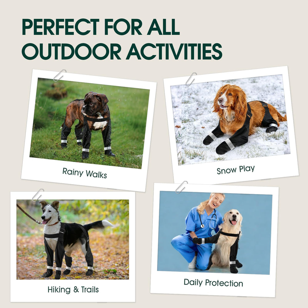 PAWsay size range fits small to large dogs.