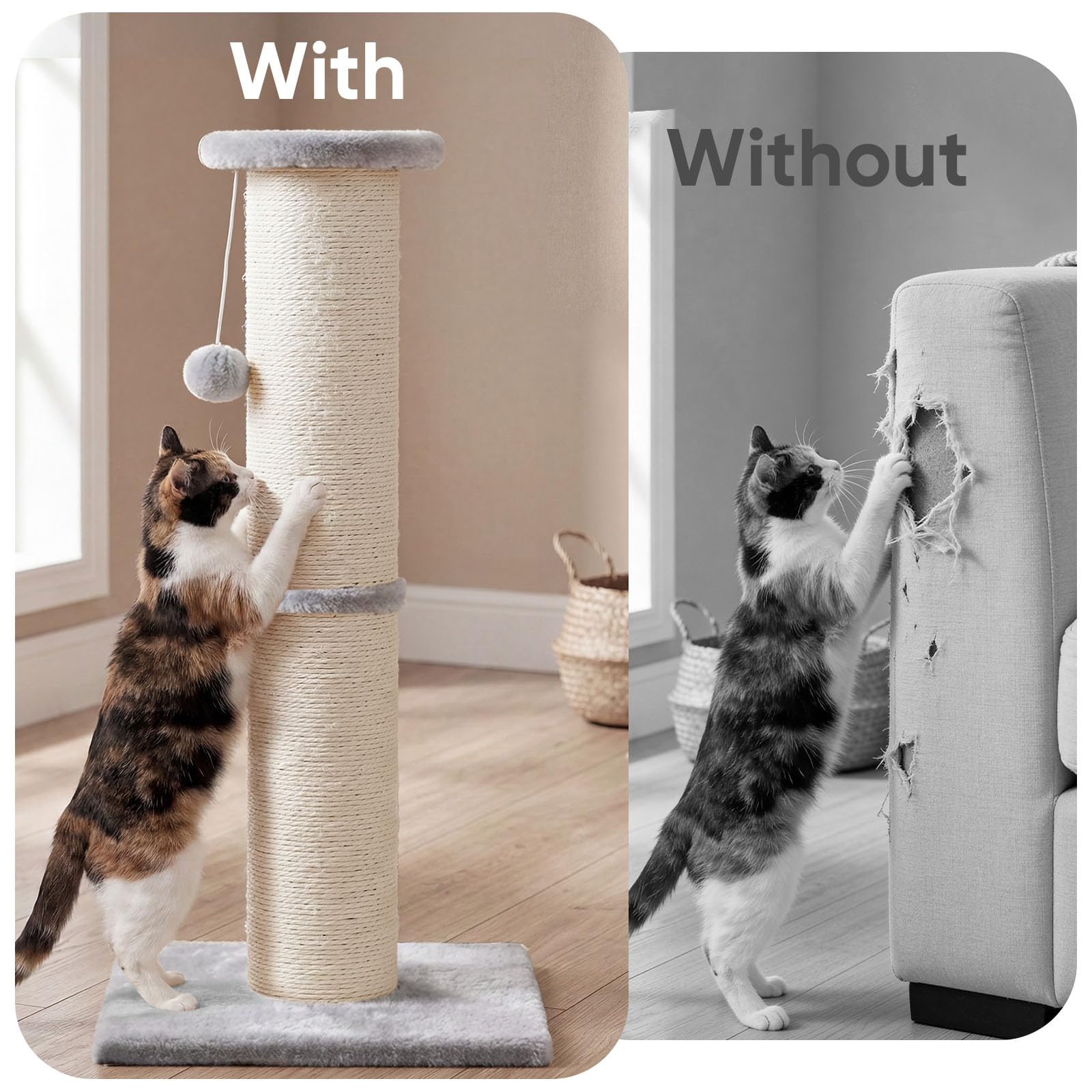 PAWSCRAT beige flannelette finish fits modern interiors.