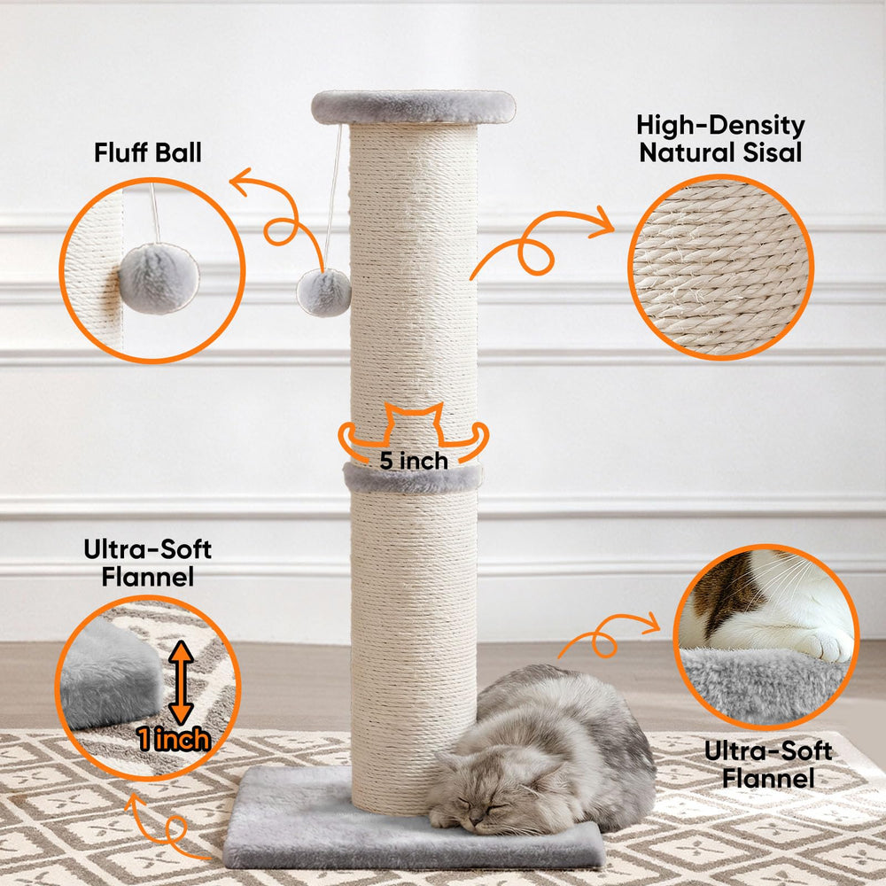 PAWSCRAT dangling balls upgrade play while scratching.