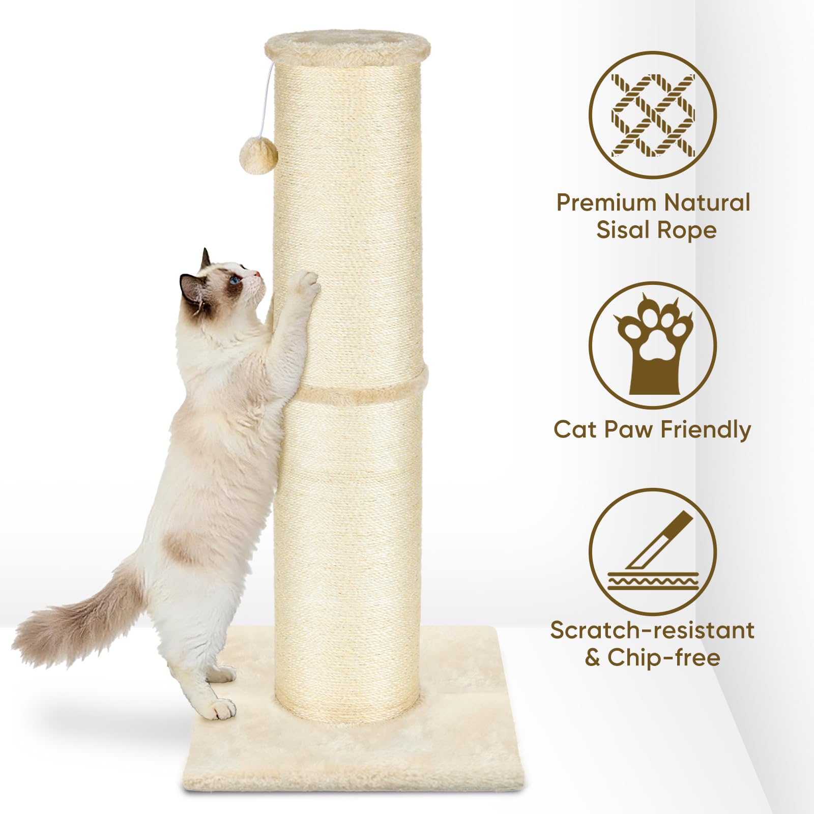 PAWSCRAT ideal for indoor cats to protect furniture