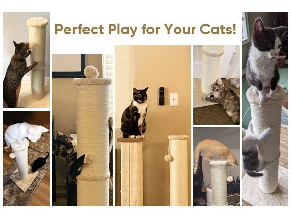 PAWSCRAT living room display promoting exercise and easy integration