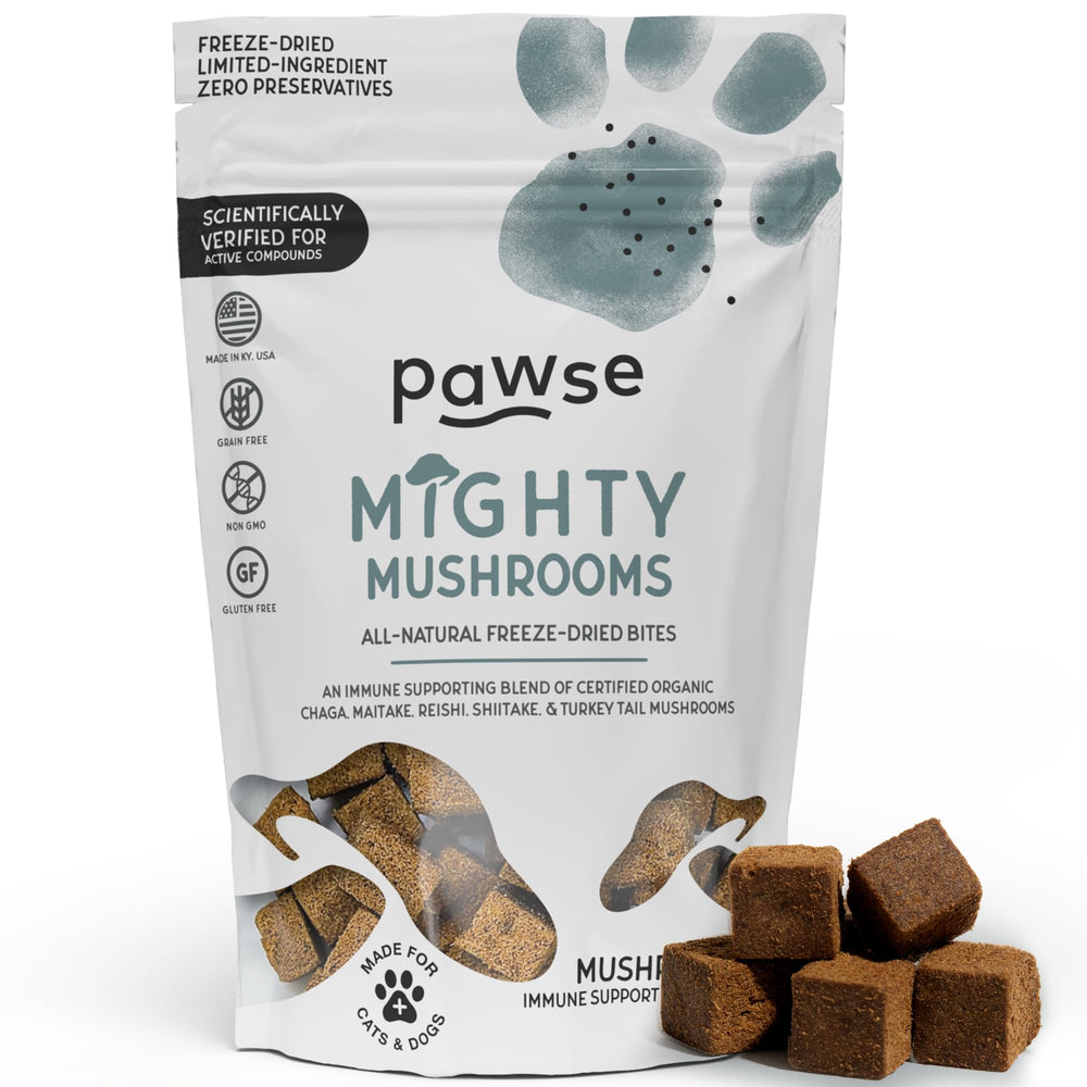 Pawse Mighty Mushroom Chews bottle showing the immune support blend.