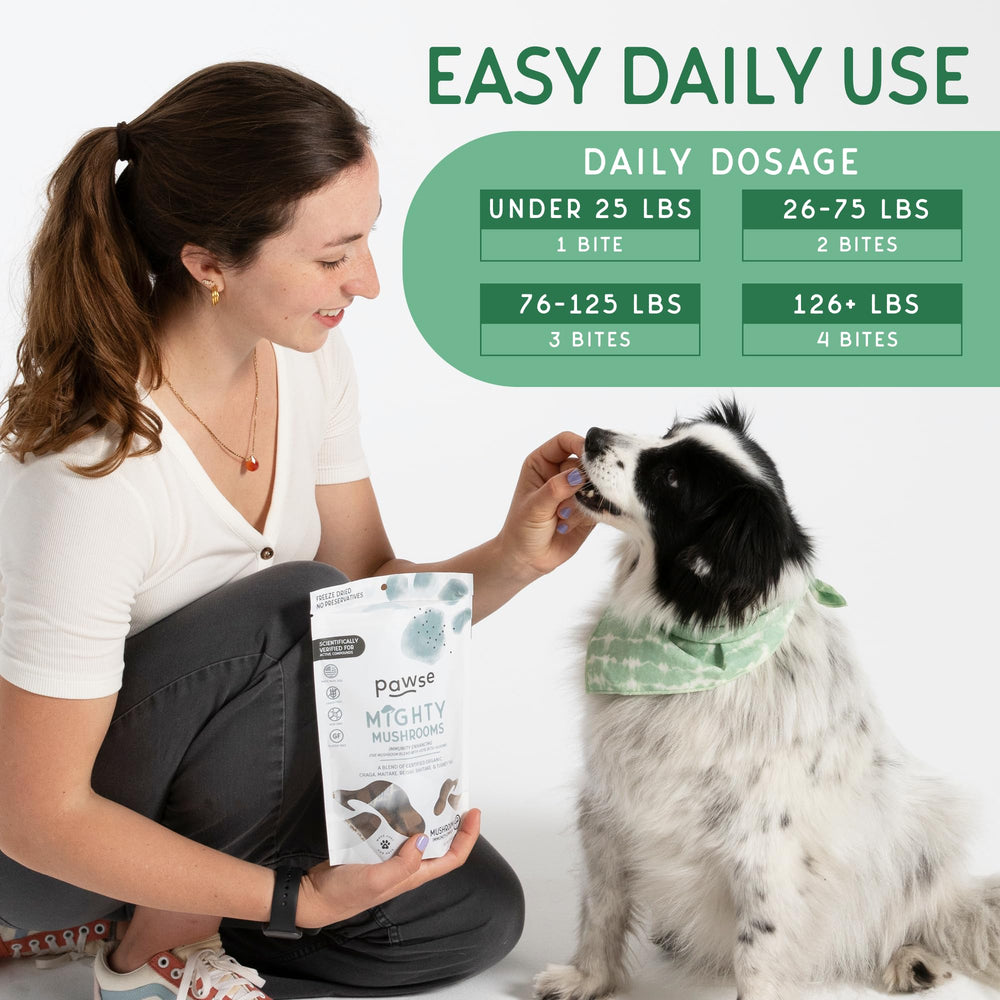 Pawse Mighty Mushroom Chews gut health closeup highlighting prebiotic benefits.