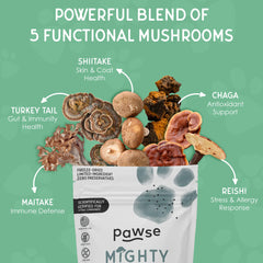 Pawse Mighty Mushroom Chews turkey tail ingredient closeup for immune balance.