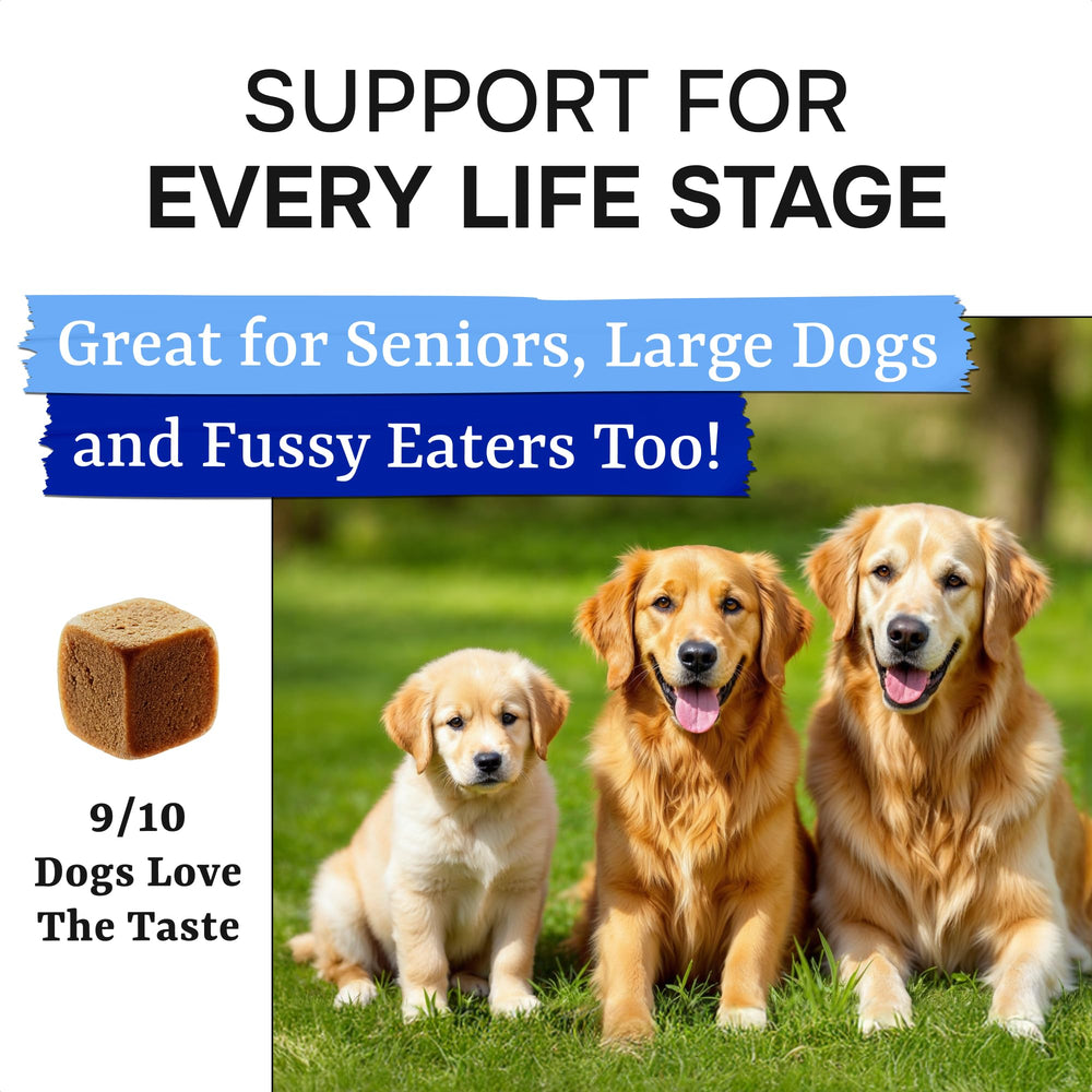 Pawsential packaging tube display emphasizes convenient daily use for dogs