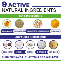 PAWSENTIAL chews showcase probiotics and omega-3 for immune and coat support