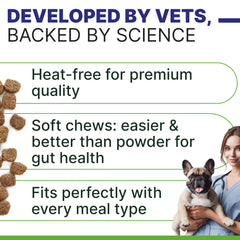 Chews featuring pumpkin fiber and enzymes for gut-friendly nutrition.