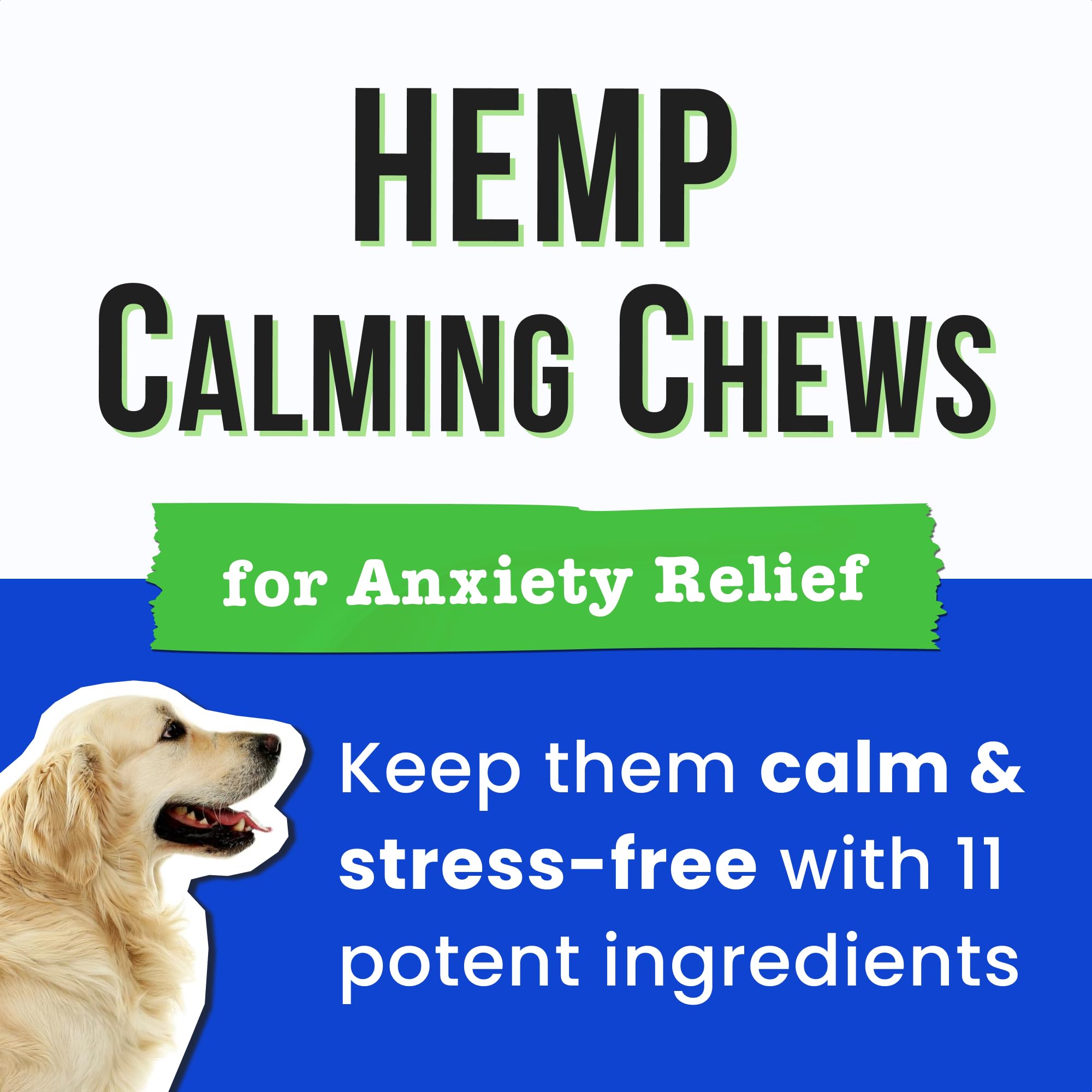 Pawsential joyful dog after treat showing contentment and relaxed posture.