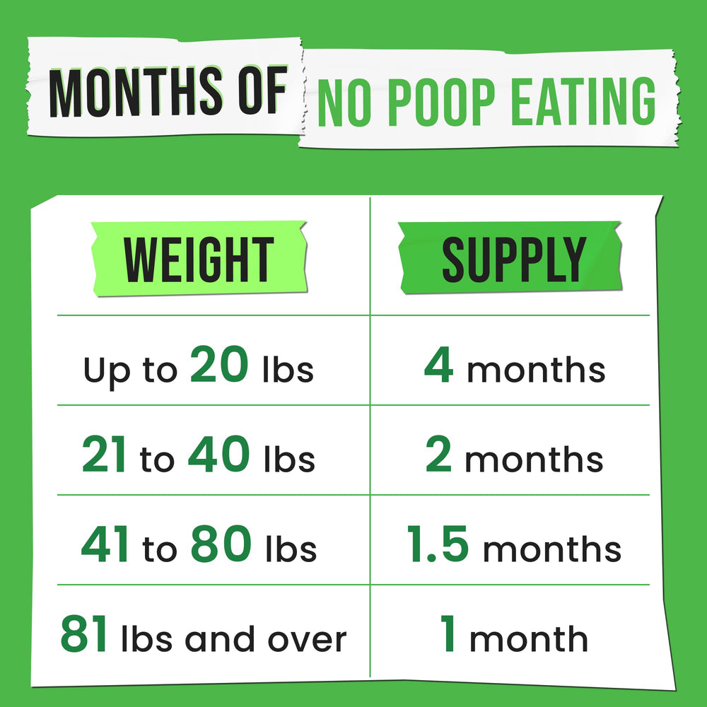 Pawsential No Poo daily dosing scene illustrates simple routine integration.