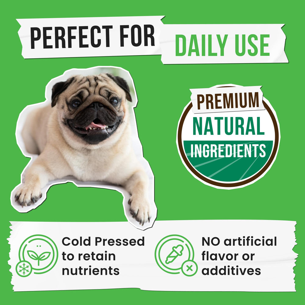 Pawsential No Poo probiotics and enzymes icon communicates digestive support and gut balance.