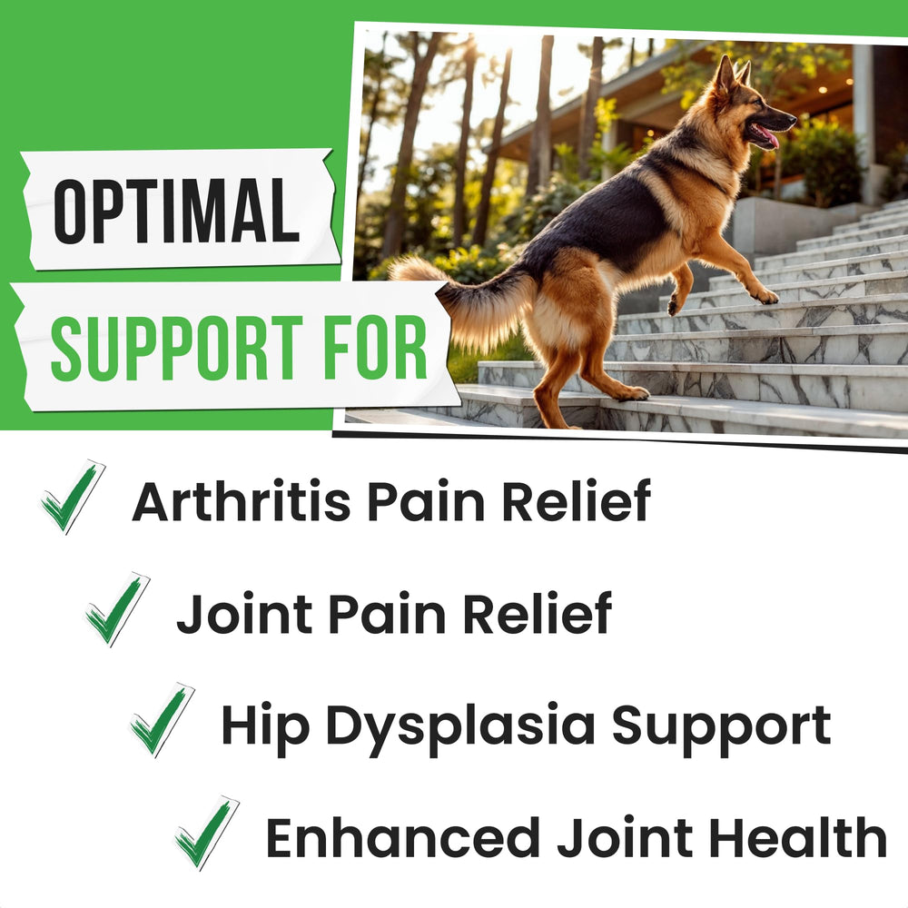 Pawsential omega fish oil boost on label for joint comfort