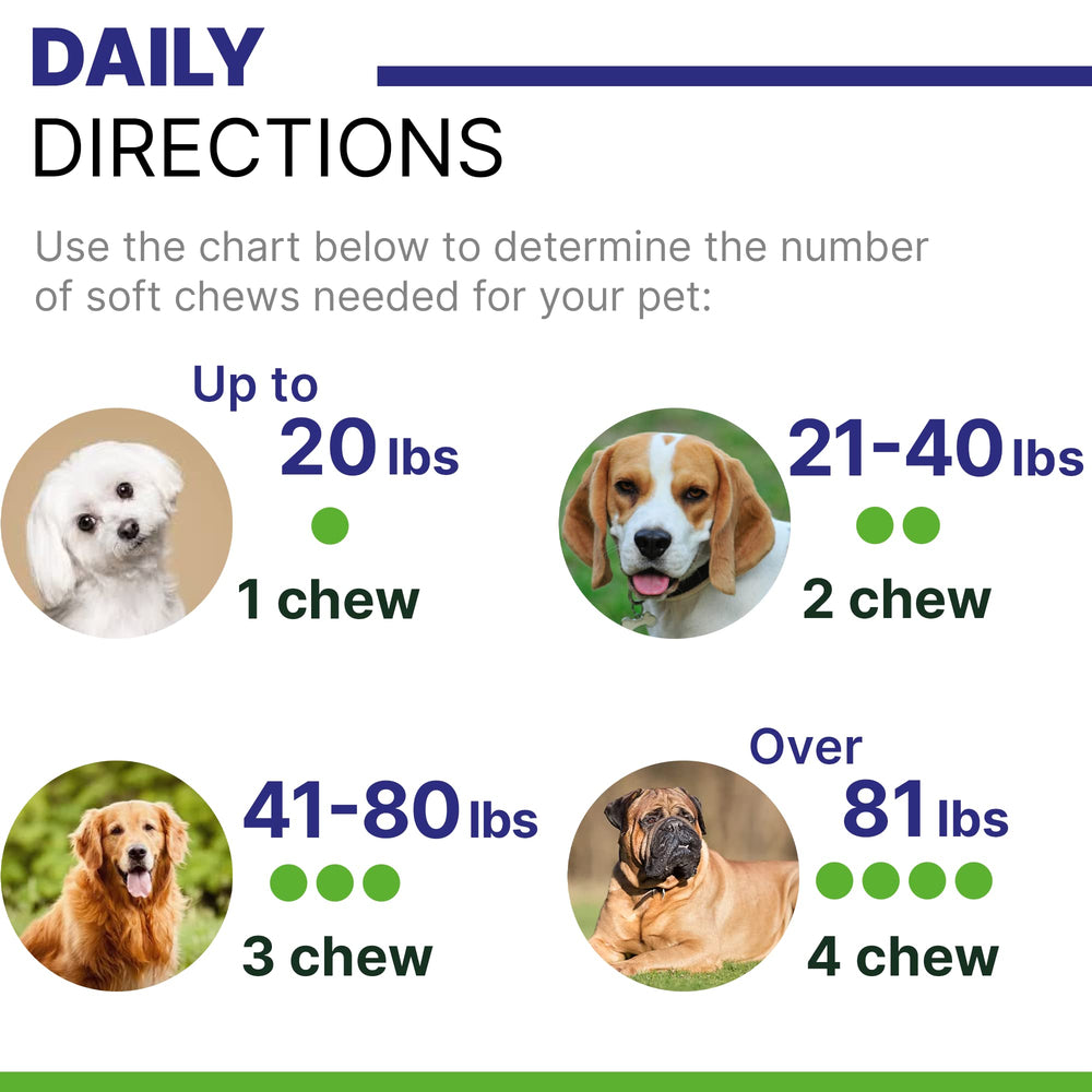 Pawsential senior-dog mobility chews with an active older pup.