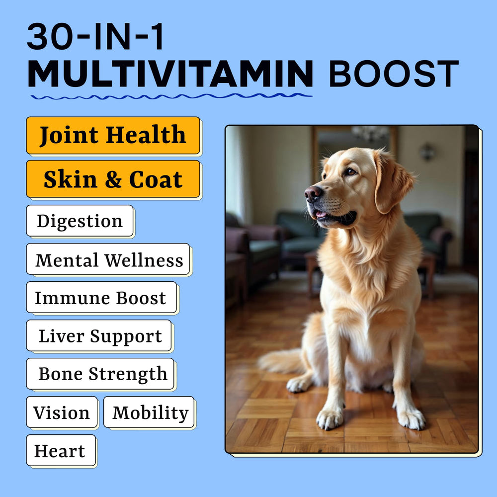 Pawsential skin-coat vitamins closeup emphasizes probiotic blend for itchy skin.