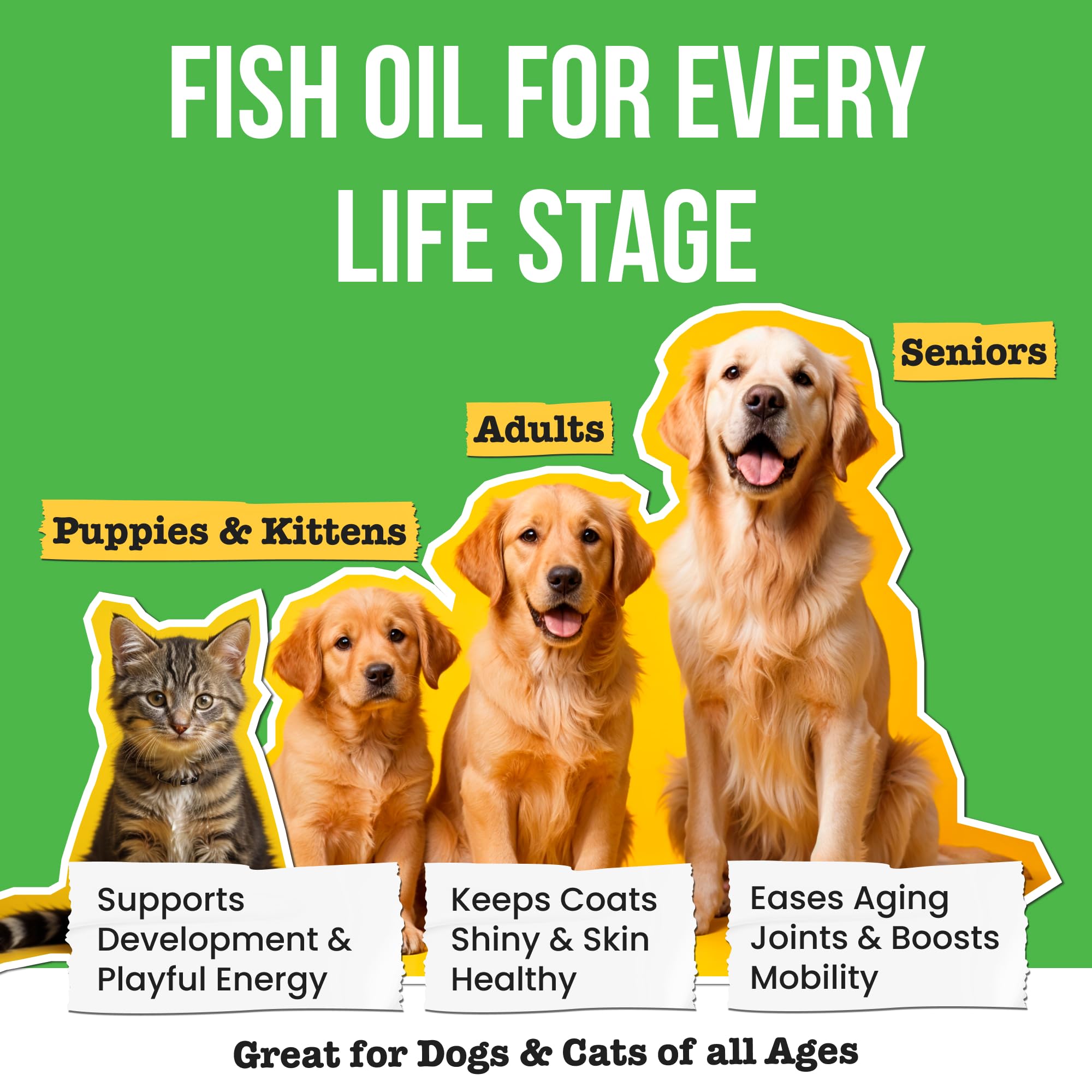 Pawsential illustration shows dogs of all sizes benefiting from omega-3 support.