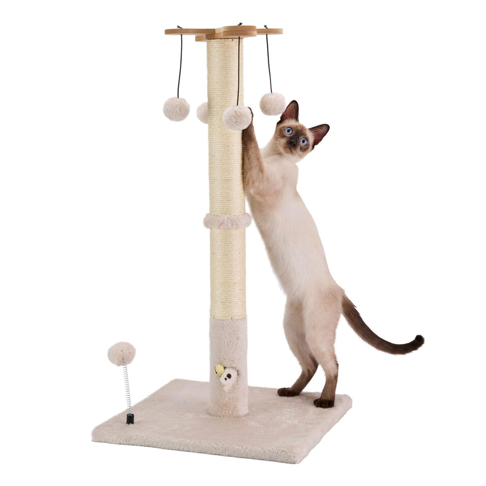 PAWSFANS cat scratching post 30 inches tall for indoor cats to protect furniture.