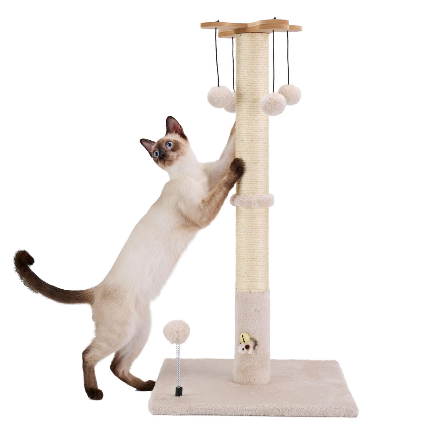 PAWSFANS indoor enrichment station helps entertain cats inside.