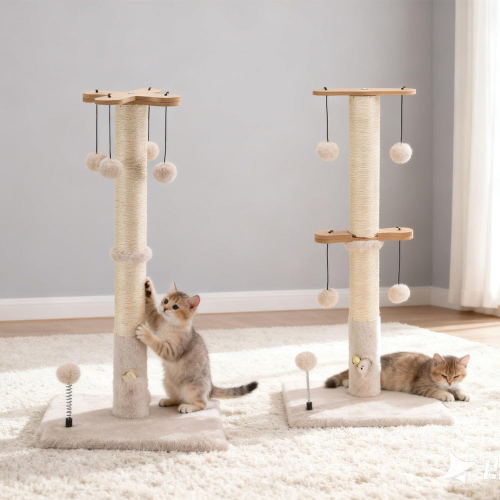 PAWSFANS sisal rope scratch surface promotes natural claw maintenance and play.