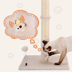 PAWSFANS top hanging balls encourage interactive play and mental stimulation.