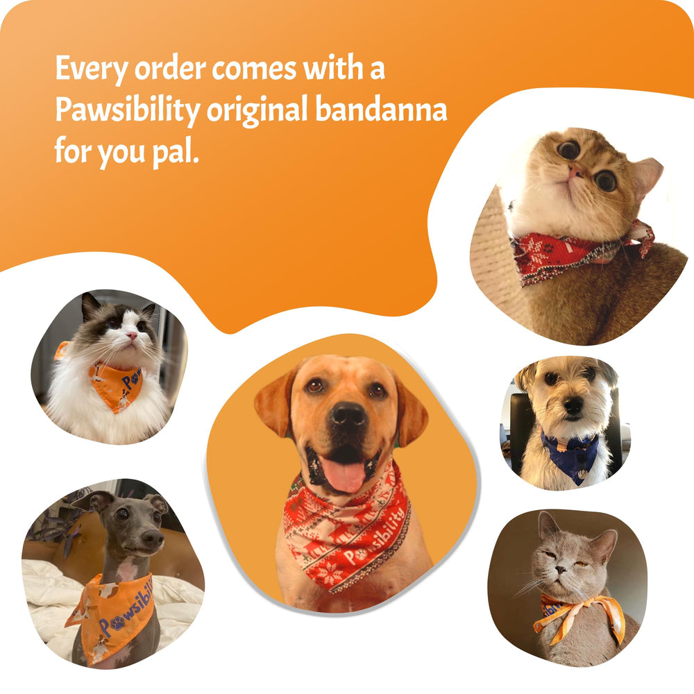 Pawsibility Pet Nail Clipper PRO packaging shows complete kit