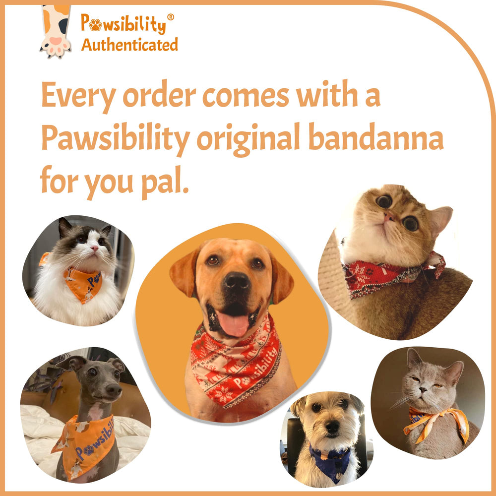 Pawsibility pink design adds cheerful style to routine pet care.