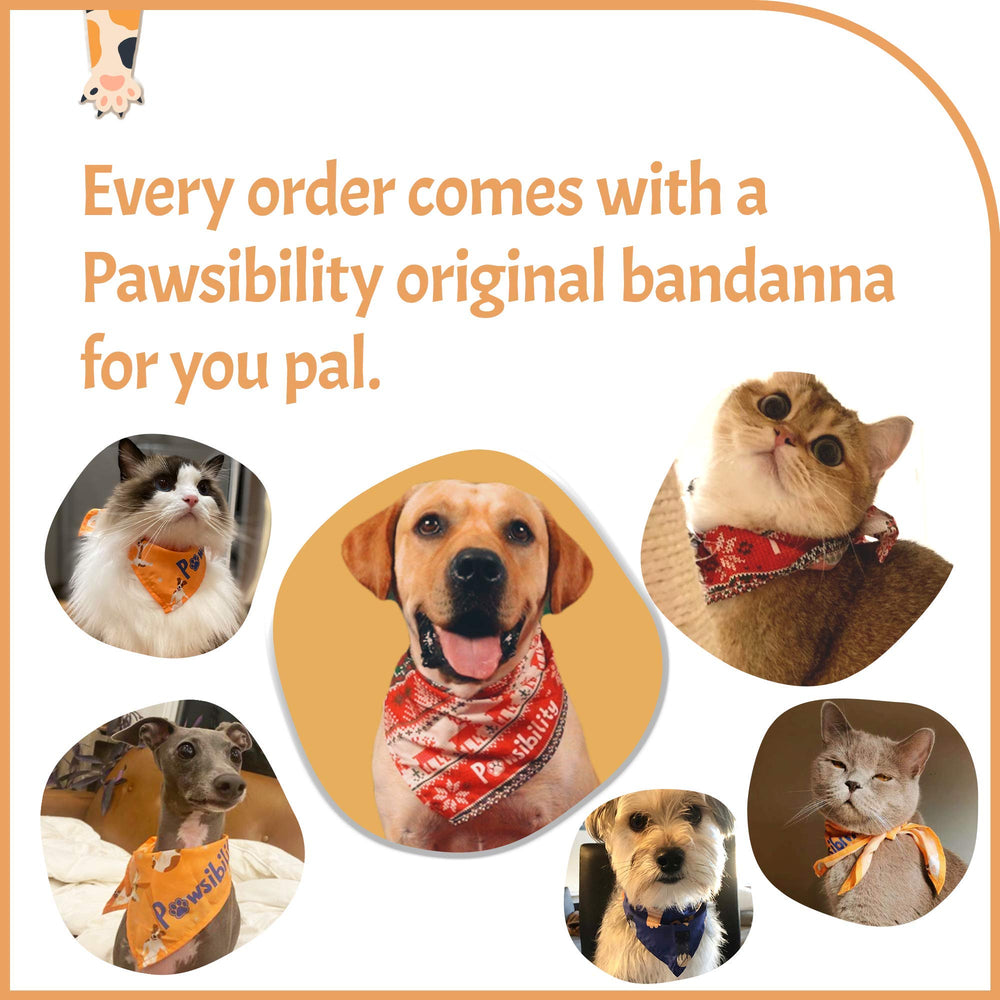 Pawsibility USB rechargeable design enables convenient at-home grooming.
