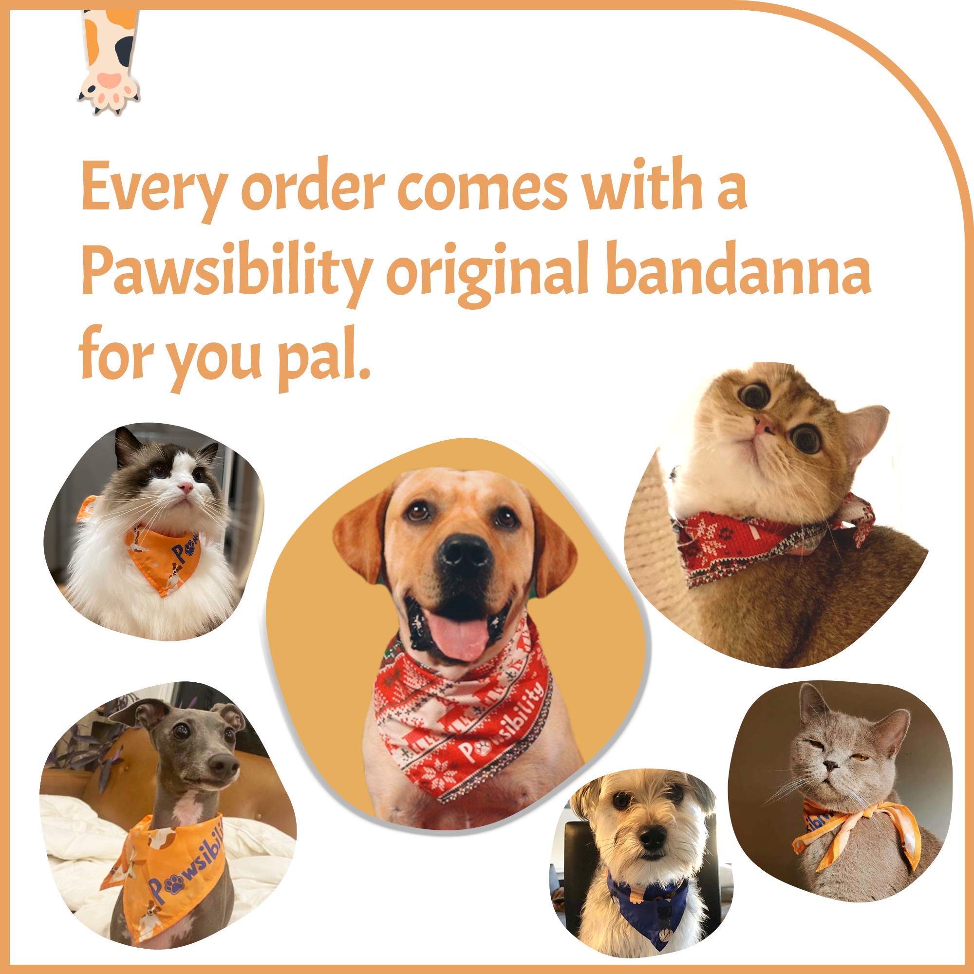 Pawsibility vet-recommended trimming tool for home use
