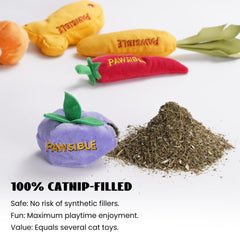 Pawsible catnip carrot toy soft fabric aids teething and playful chewing
