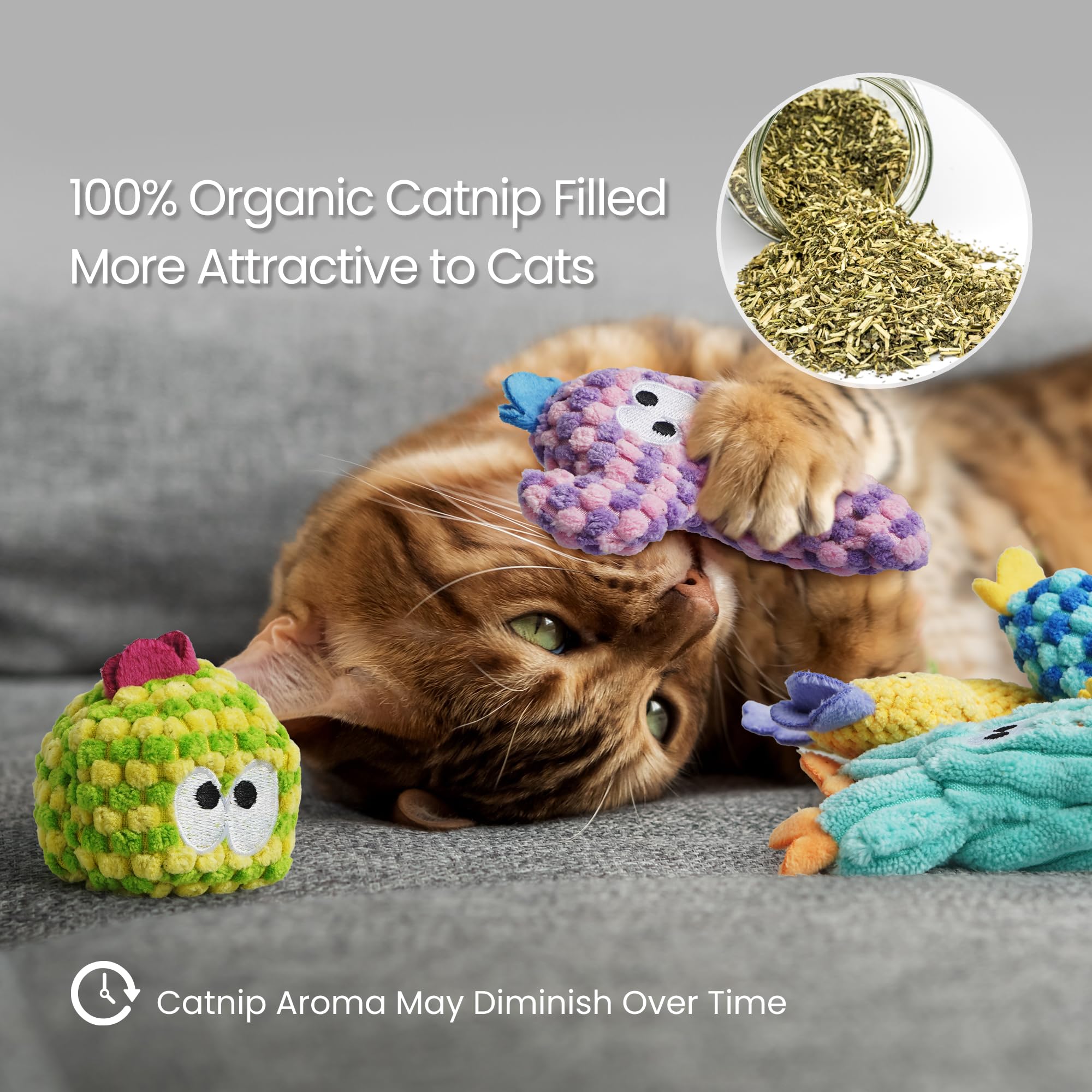 Pawsible cactus catnip toy green, promotes interactive bonding during play.