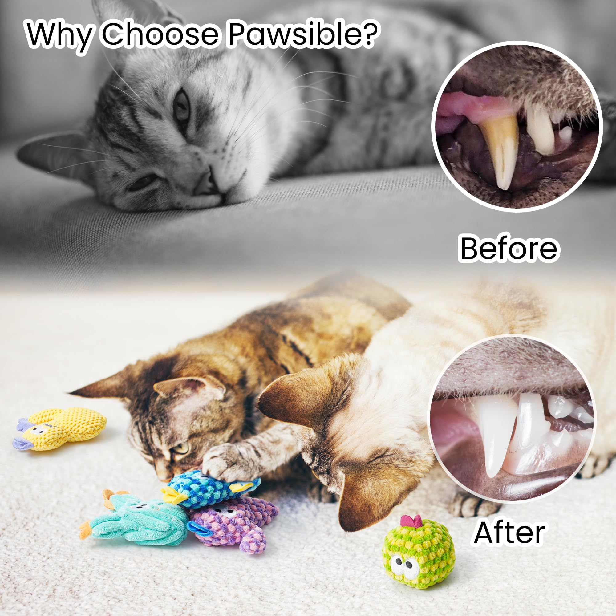 Pawsible cactus catnip toy purple, eye-catching design captivates cats.