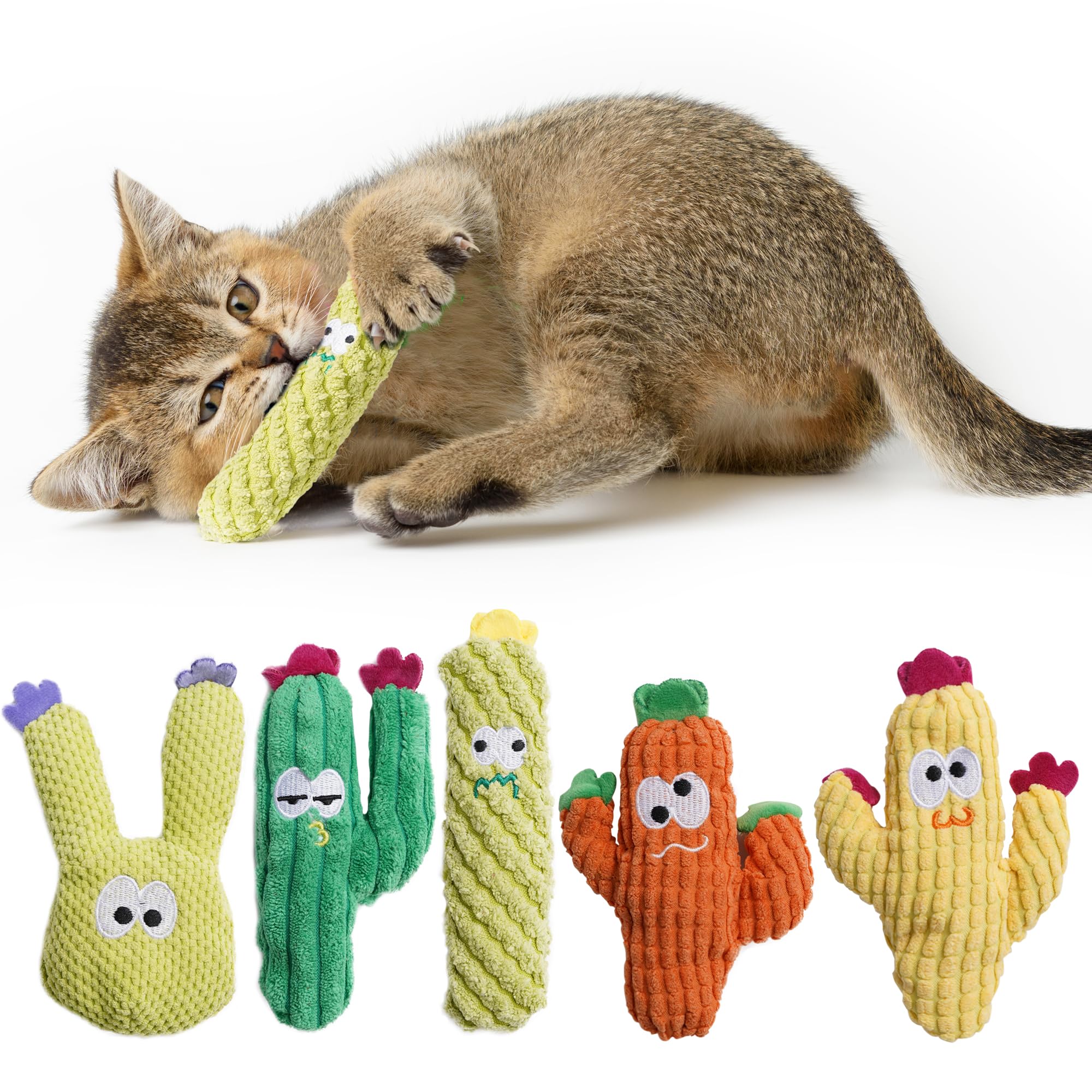 Pawsible cactus cat toy filled with organic catnip for engaging indoor play.