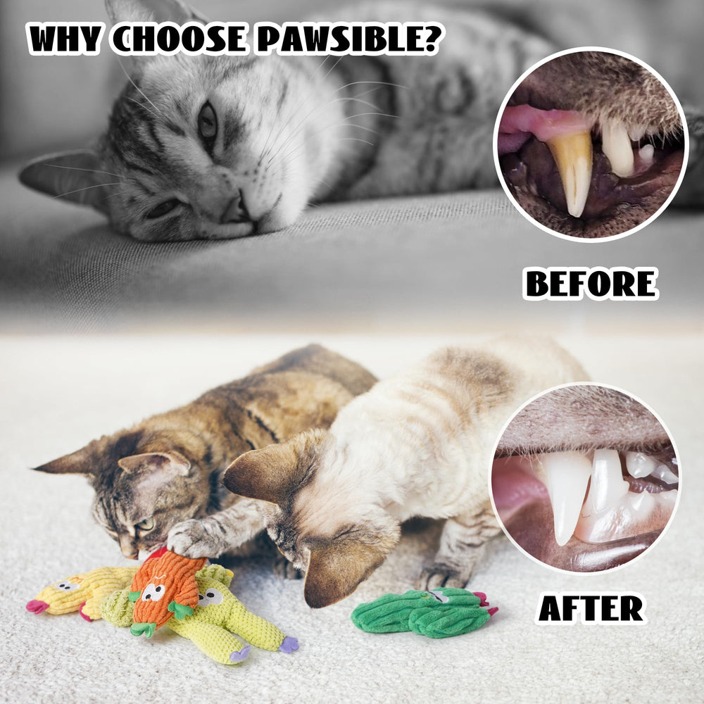 Pawsible catnip cactus toy promotes sniffing and gentle chewing.