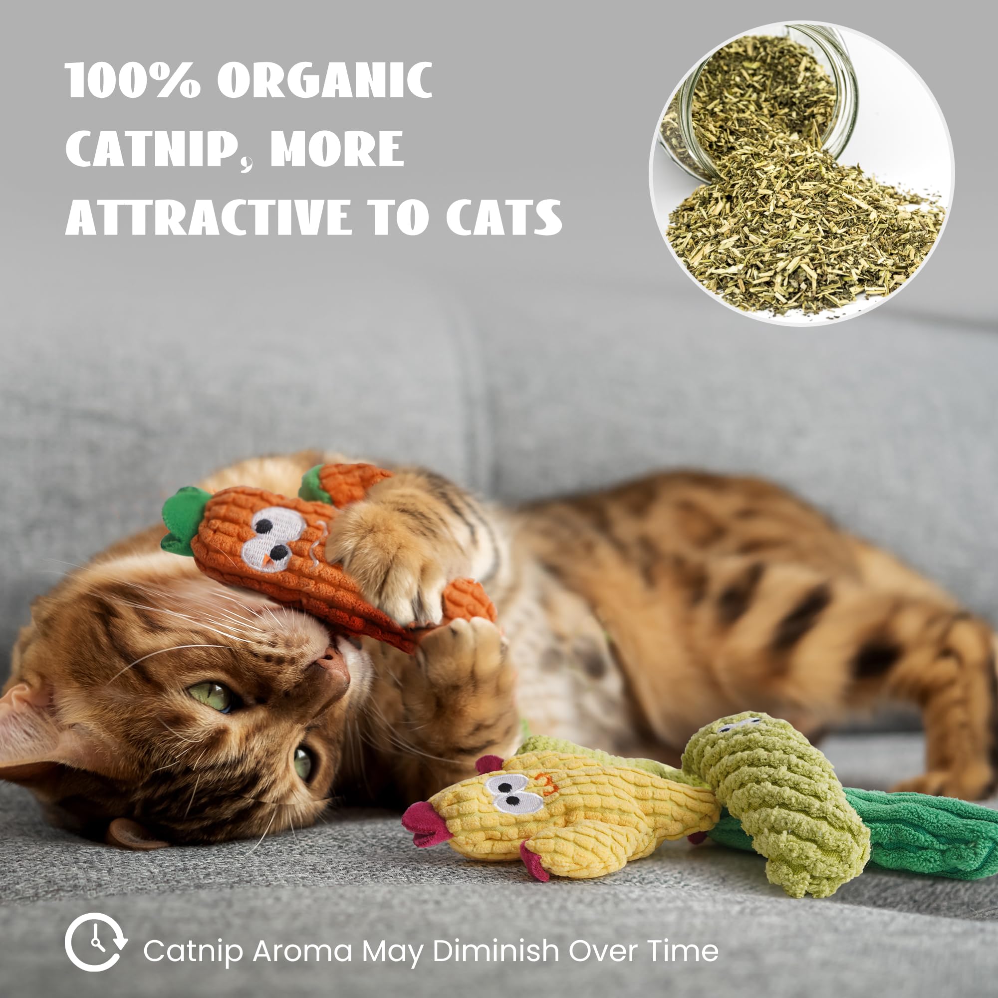 Pawsible durable cactus toy suitable for kittens and adult cats.