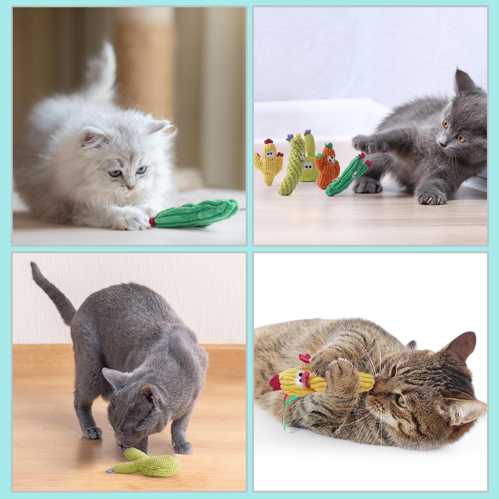 Pawsible cactus toy pack supports interactive play and exploration.