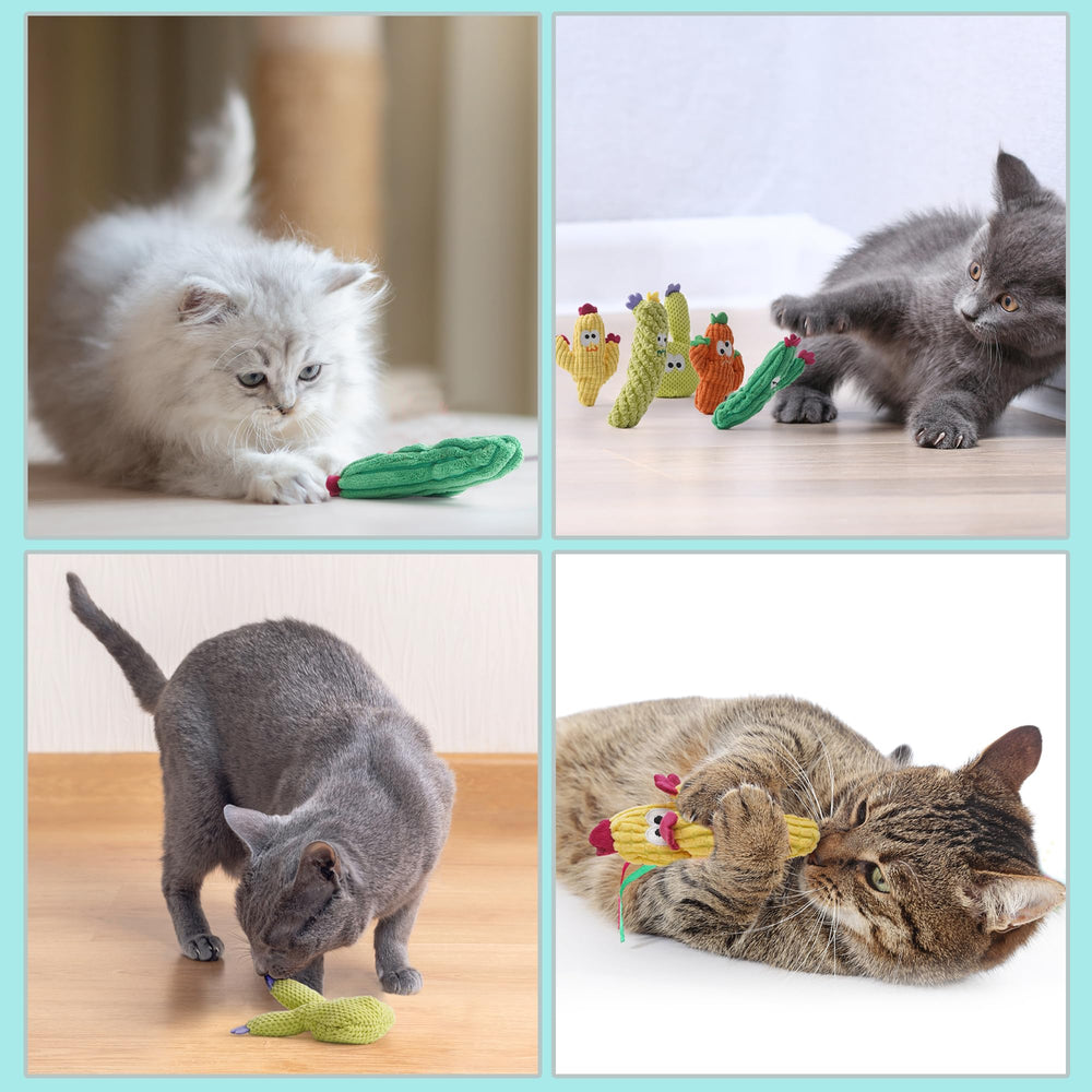 Pawsible cactus toy pack supports interactive play and exploration.